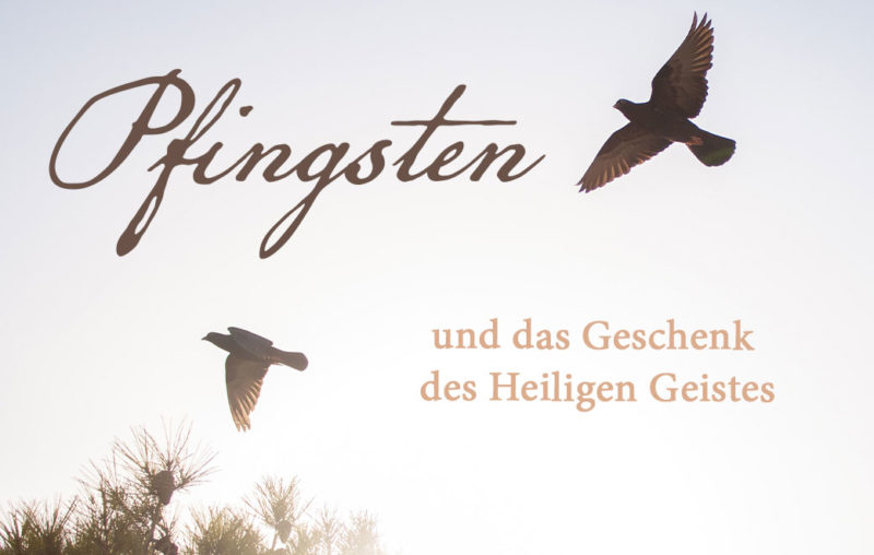 Tauben fliegen in den Himmel; Blogtext zum Thema Pfingsten