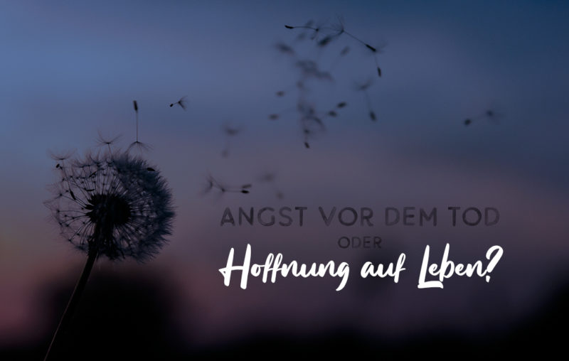 Pusteblume als Blogbild für Angst vor dem Tod oder Hoffnung auf Leben?