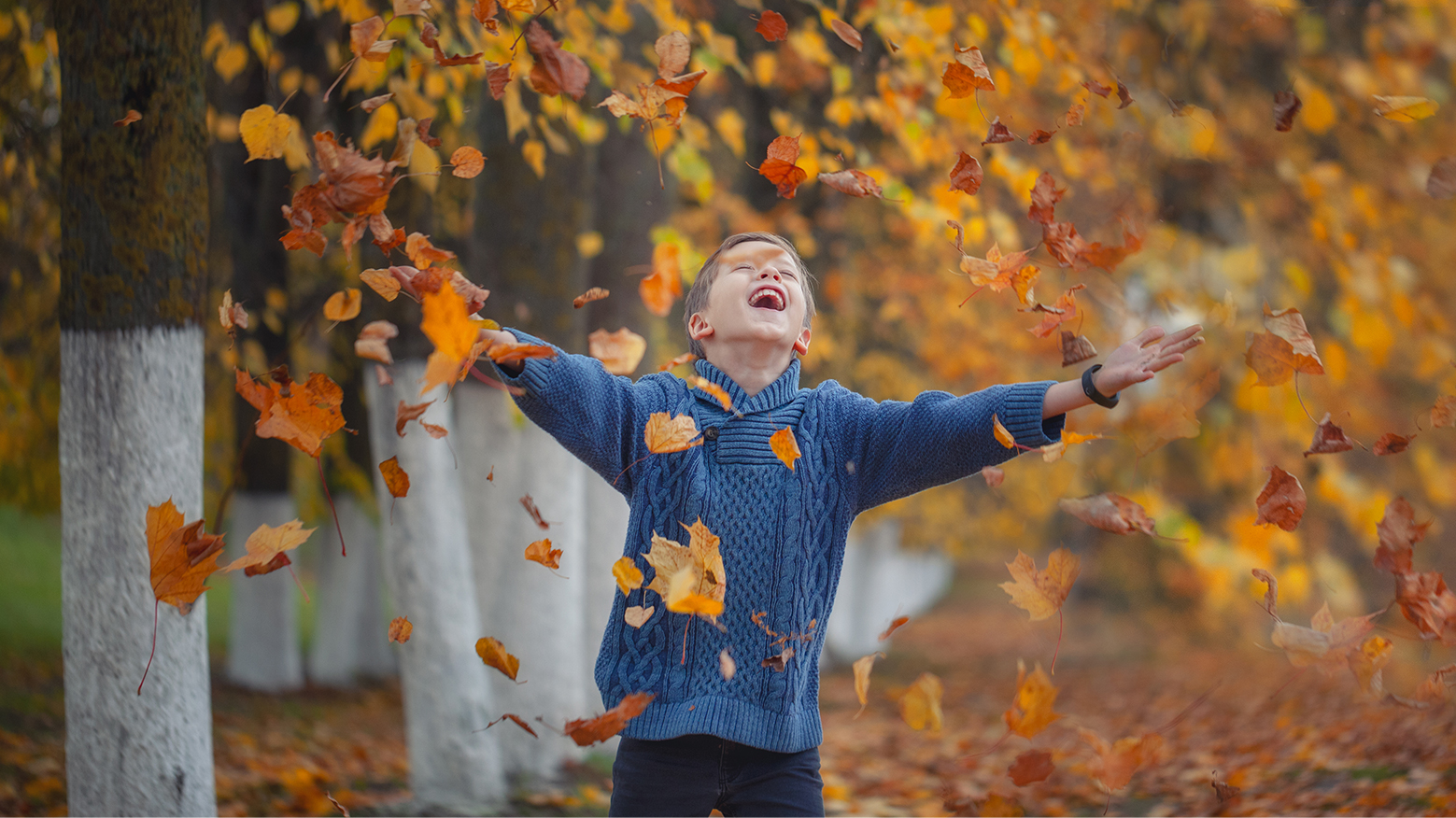 Ein junge wirft im Herbst fröhlich Blätter in die Luft. Blogbild zum Thema: christliche Halloween Alternativen